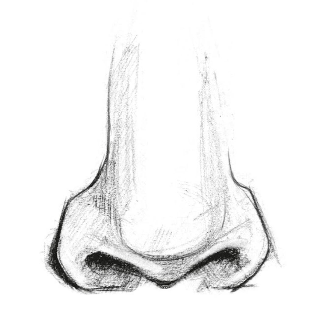 Drawing a nose