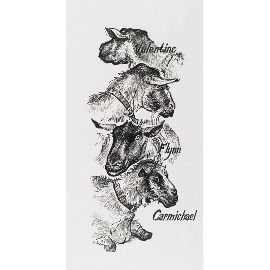 Faber-Castell - Estuche con 4 rotuladores Pitt Artist Pen, negro